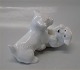 Royal Copenhagen Art Pottery 20231 Westies Playing White Stoneware KK 12 x 8 cm
