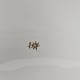 sub: 6