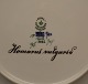 sub: 1