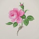 sub: 2