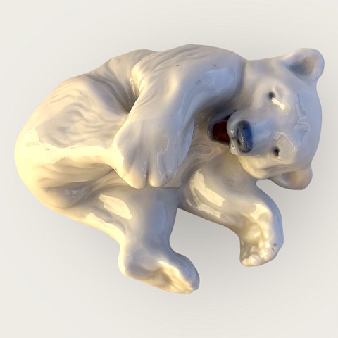 568601.jpg