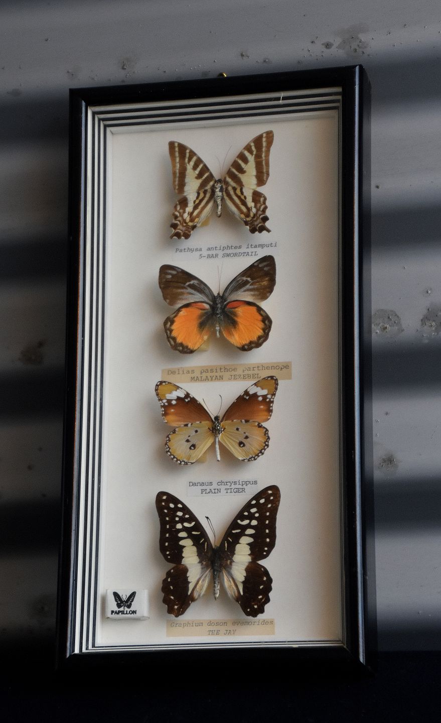 Antik & Porcelæn - ramme 4 sommerfugle