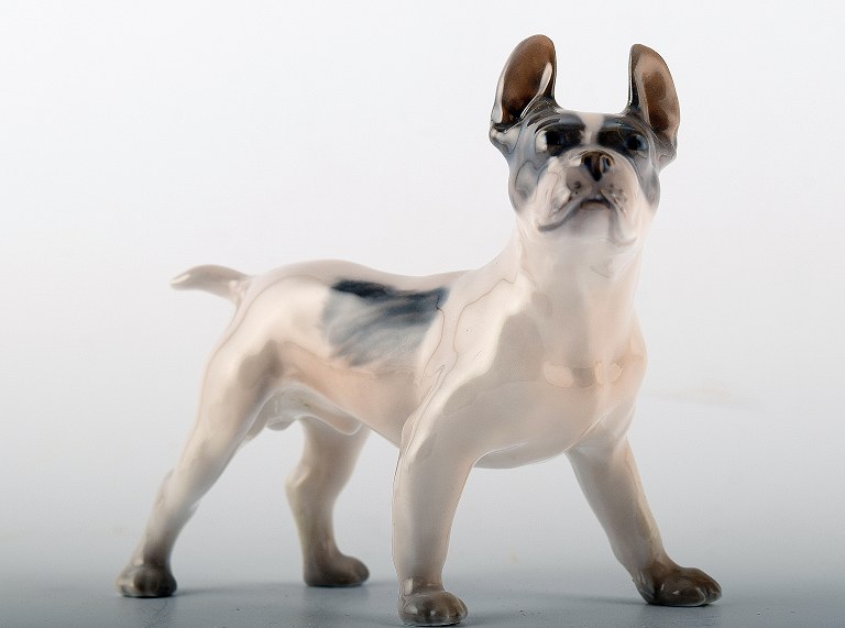 Kgl. figur Royal Copenhagen 1457. Boston Terrier.