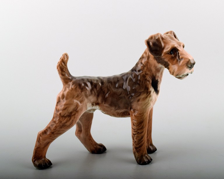 Dahl Jensen figur 1079, stående Airedale Terrier. 
