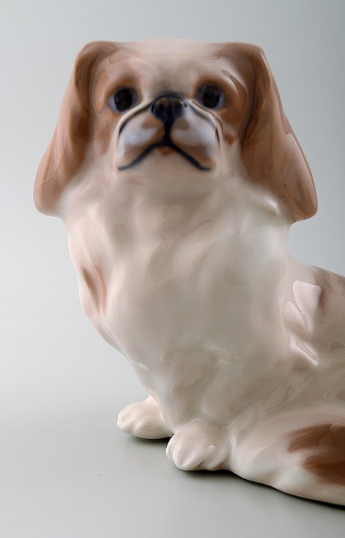 Royal Copenhagen figurine, Pekingese.
Decoration number 1772.