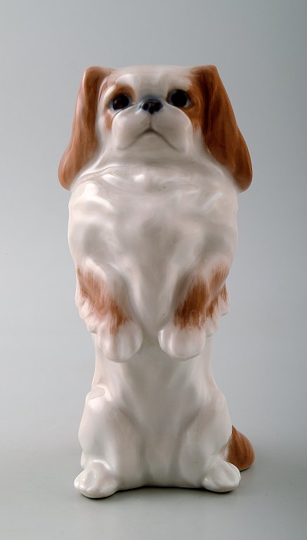 Royal Copenhagen hundefigur, pekingeser.
Dekorationsnummer 1776.