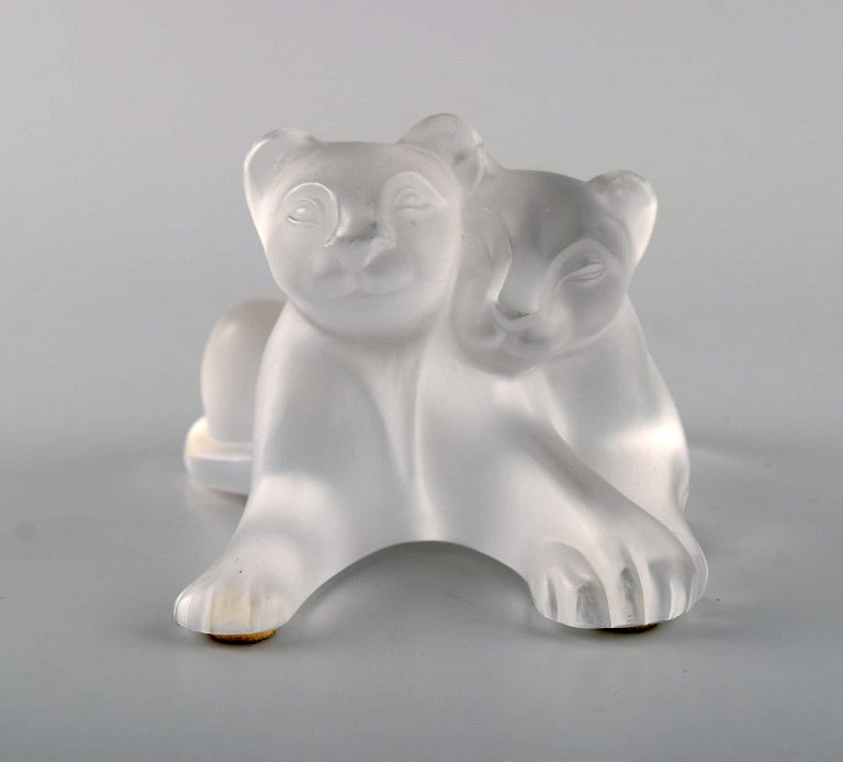 Lalique løvepar i matteret kunstglas. 1980