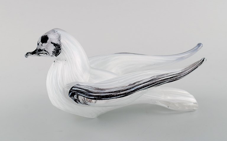 Murano bird in mouth blown art glass. 1960 / 70s.
