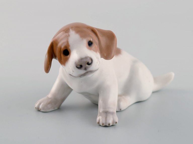 Royal Copenhagen porcelain figurine. Pointer puppy. 1920