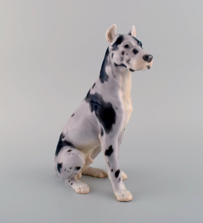 Bing & Grøndahl porcelain figure. Sitting great dane. Model number 2038. 1920