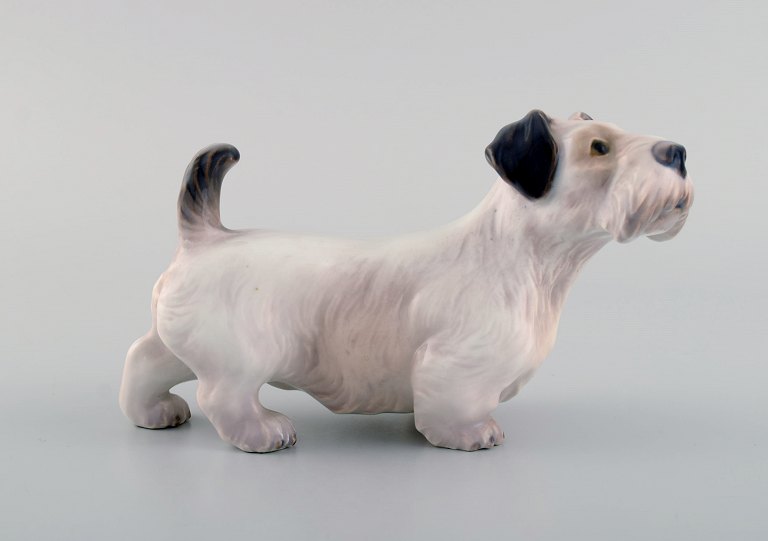 Dahl Jensen porcelænsfigur. Sealyham Terrier. Modelnummer 1002. 1930/40