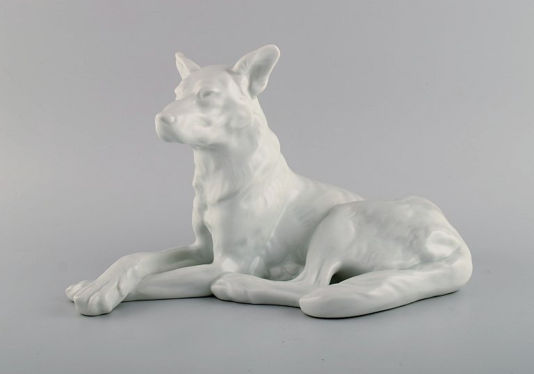 Large Herend blanc de chine figure. German Shepherd. 1930/40