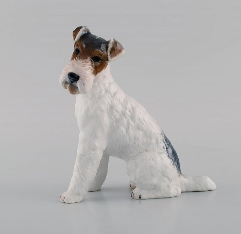 Classic Rose Collection. Rosenthal Group. Wire haired fox terrier in 
hand-painted porcelain. Mid-20th century.
