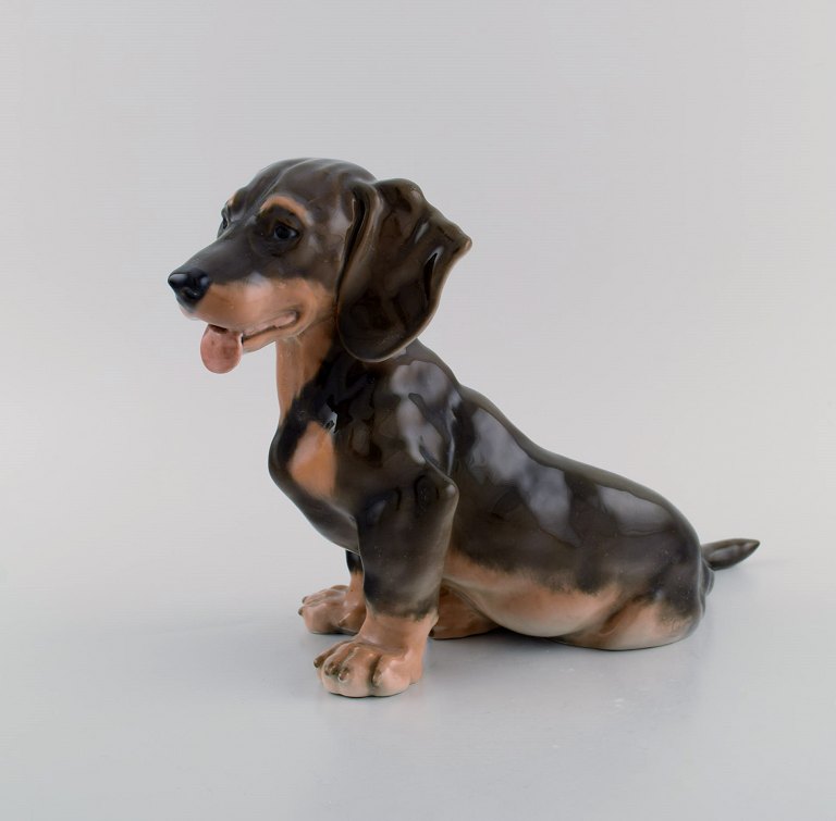 Large Royal Copenhagen porcelain figurine. Dachshund. Model number 856. Dated 
1964.
