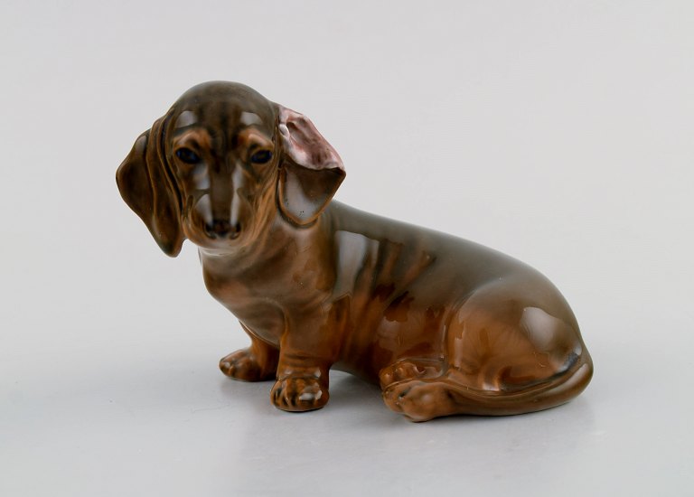 Royal Copenhagen porcelain figurine. Seated dachshund. Model number 3140. Dated 
1964.
