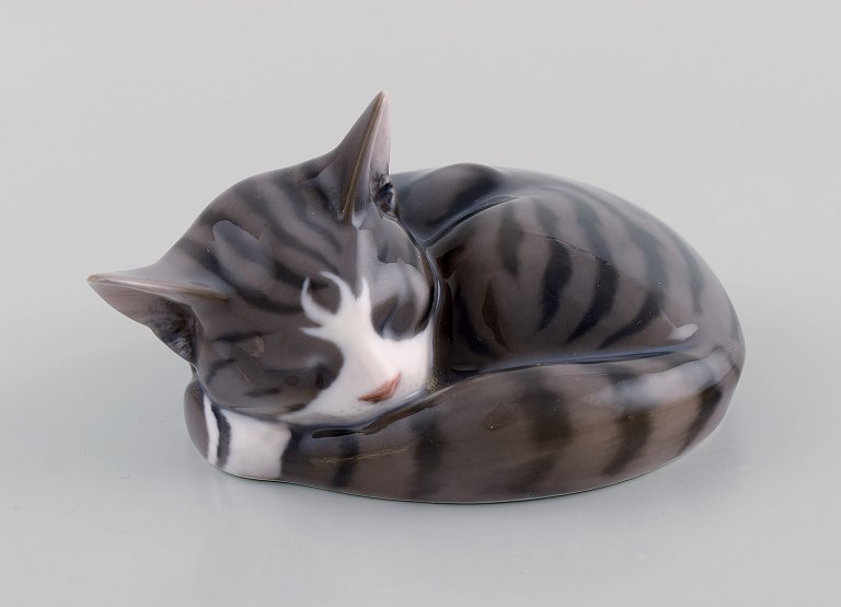 Erik Nielsen for Royal Copenhagen. Porcelain figure. Sleeping cat. Model number 
1025/422. Dated 1950.
