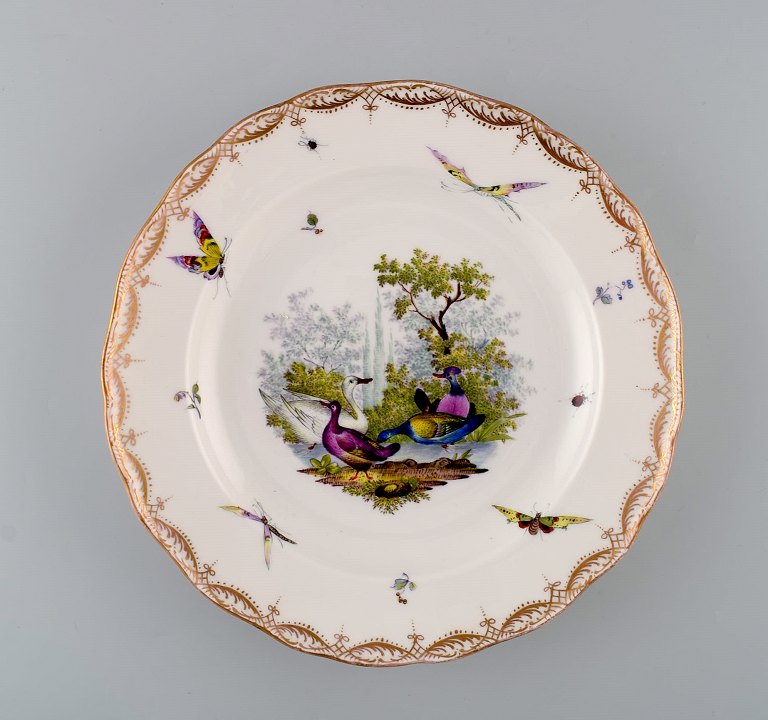 Antique and rare Meissen porcelain plate with hand-painted birds, insects and 
gold decoration. 19th century.
