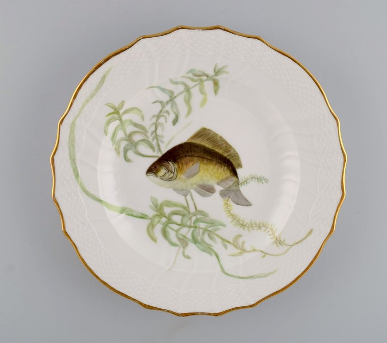 Royal Copenhagen porcelain dinner plate with hand-painted fish motif and golden 
border. Flora / Fauna Danica style. Dated 1960.
