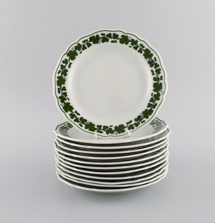 Twelve Meissen Green Ivy Vine plates in hand painted porcelain. 1940