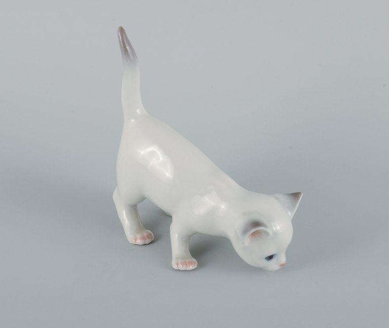 Bing and Grøndahl, kitten in porcelain.