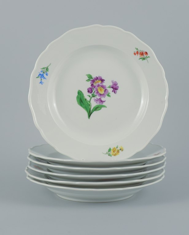 Meissen, Germany, six dinner plates hand painted with floral motifs in different 
colors.