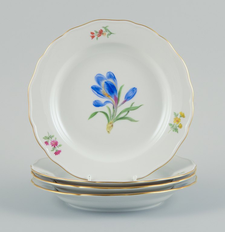 Meissen, Tyskland. Fire porcelænstallerkner håndmalet med forskellige 
blomstermotiver og guldkant.