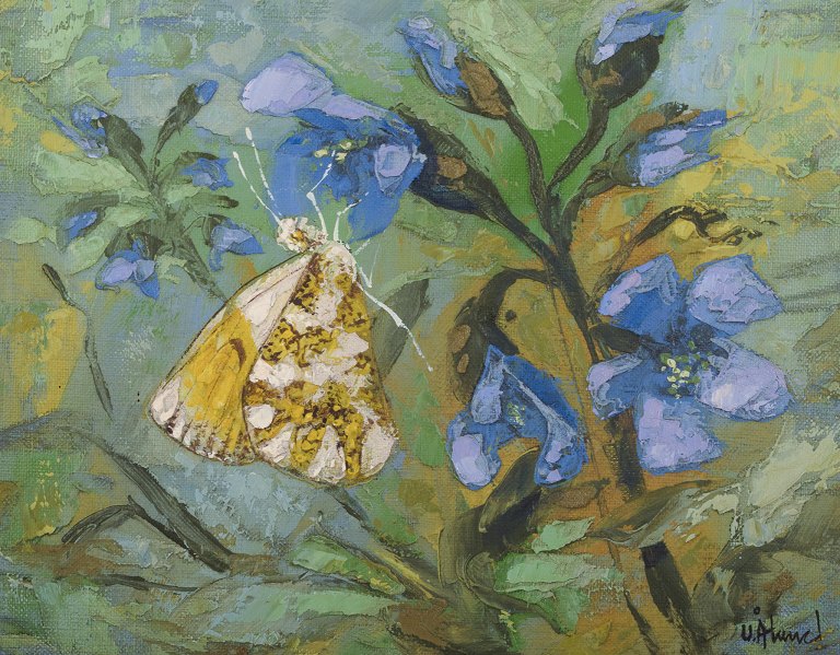 Ulf Ålund (f 1948), svensk kunstner, olie på lærred.
Aurorasommerfugl i blomsterlandskab.