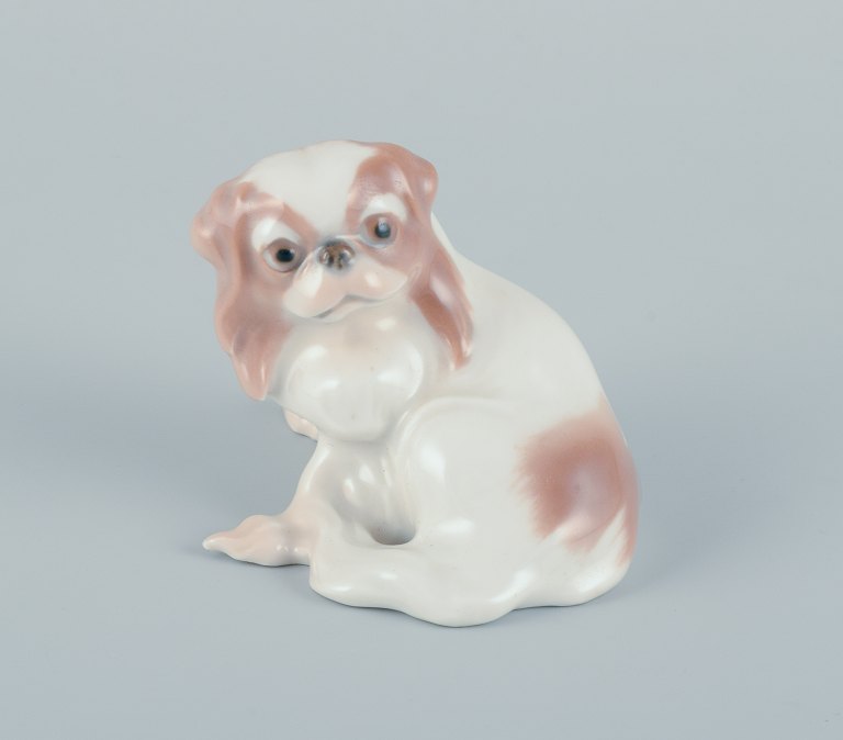 Dahl-Jensen for Bing & Grøndahl, lille porcelænsfigur af siddende pekingeser.