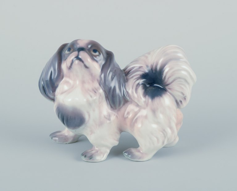 Dahl Jensen, porcelænsfigur af pekingeser.