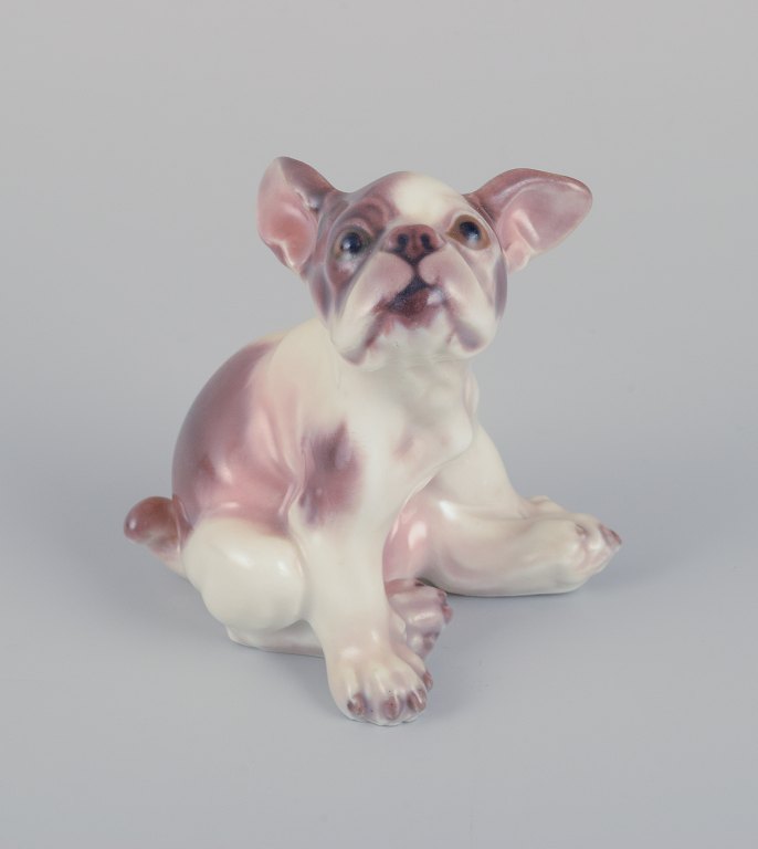 Dahl Jensen. Porcelænsfigur af fransk bulldog.